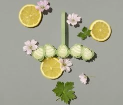 Marcel's Green Soap Toiletblok Geranium & Citroen - 55 Gram -Schoonmaakartikelen Winkel 1200x1023 1