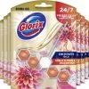 Glorix Aroma Lux Dahlia Flower & Dragonfruit - 9 Toiletblokken - Halfjaarbox - Voordeelverpakking -Schoonmaakartikelen Winkel 1200x1111 1