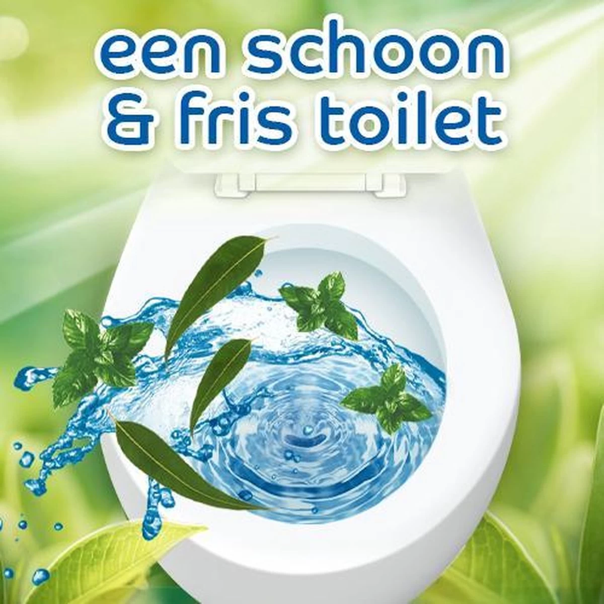 Witte Reus Pro Nature Munt Eucalyptus - 10 Stuks 7 Witte Reus Pro Nature Munt Eucalyptus - 10 Stuks - Afbeelding 5