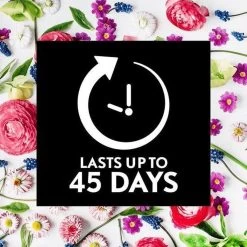 Air Wick Essential Mist Automatische Geurverspreider Luchtverfrisser - Innerlijke Rust - Navulling 17 Air Wick Essential Mist Automatische Geurverspreider Luchtverfrisser - Innerlijke Rust - Navulling -Schoonmaakartikelen Winkel 1200x1200 2162