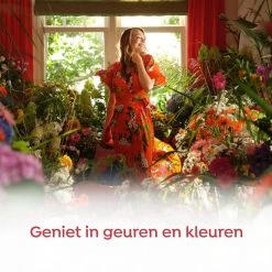 Robijn Klein & Krachtig Rosé Chique Vloeibaar Wasmiddel - 8 X 19 Wasbeurten - Voordeelverpakking 12 Robijn Klein & Krachtig Rosé Chique Vloeibaar Wasmiddel - 8 X 19 Wasbeurten - Voordeelverpakking -Schoonmaakartikelen Winkel 1200x1200 52