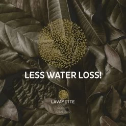 Lavayette XL Drogerballen Met 25ml Wasparfum - WasdrogerBallen – Droogballen – Wasbol – 100% Nieuw-Zeelands Schapenwol – Milieu- En Diervriendelijk – 6 Stuks -Schoonmaakartikelen Winkel 1200x1200 660