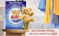 Robijn Geurbuiltje Intense 3 STUKS - Geur- Geurbuiltjes- Geurzakjes Voor In De Kledingkast 7 Robijn Geurbuiltje Intense 3 STUKS - Geur- Geurbuiltjes- Geurzakjes Voor In De Kledingkast -Schoonmaakartikelen Winkel 1200x742 6