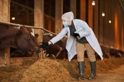 ANSELL MICROFLEX® 93-732 - Nitril Wegwerp Handschoenen, Latexvrij, Poedervrij, S, Zwart, 100 Stuks (0.7-0.11mm) -Schoonmaakartikelen Winkel 1200x799 53