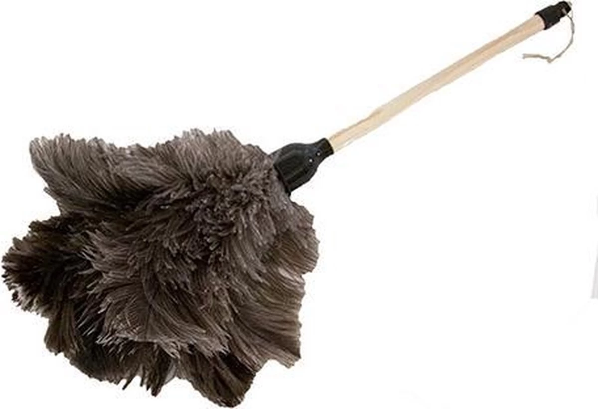 Plumeau Struisvogelveren Lengte 50 Cm 3 Plumeau Struisvogelveren Lengte 50 Cm