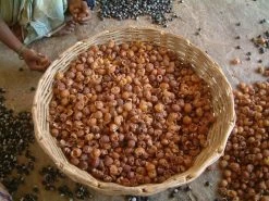 Wasnoten Start 150gr Met Waszakje - Zeepnoten - Natuurlijk Wassen 13 Wasnoten Start 150gr Met Waszakje - Zeepnoten - Natuurlijk Wassen -Schoonmaakartikelen Winkel 1200x900