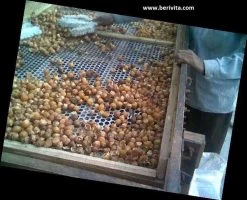 Wasnoten Start 150gr Met Waszakje - Zeepnoten - Natuurlijk Wassen 14 Wasnoten Start 150gr Met Waszakje - Zeepnoten - Natuurlijk Wassen -Schoonmaakartikelen Winkel 1200x973