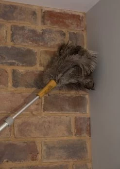 Plumeau Met Struisvogelveren, Bruin - KitchenCraft | Living Nostalgia -Schoonmaakartikelen Winkel 856x1200 2